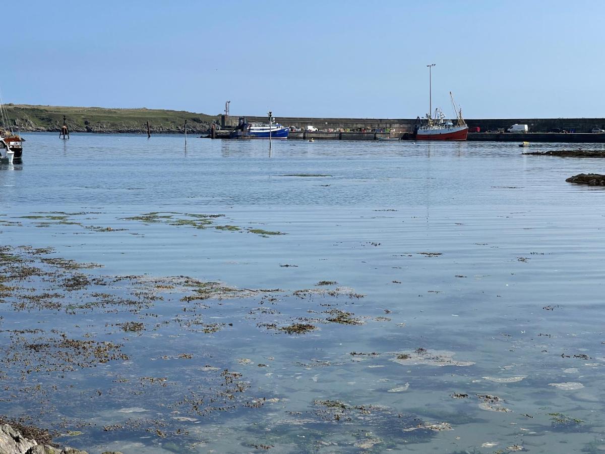 Lovely Apartment Overlooking The Harbour And Bay Ardglass Ngoại thất bức ảnh