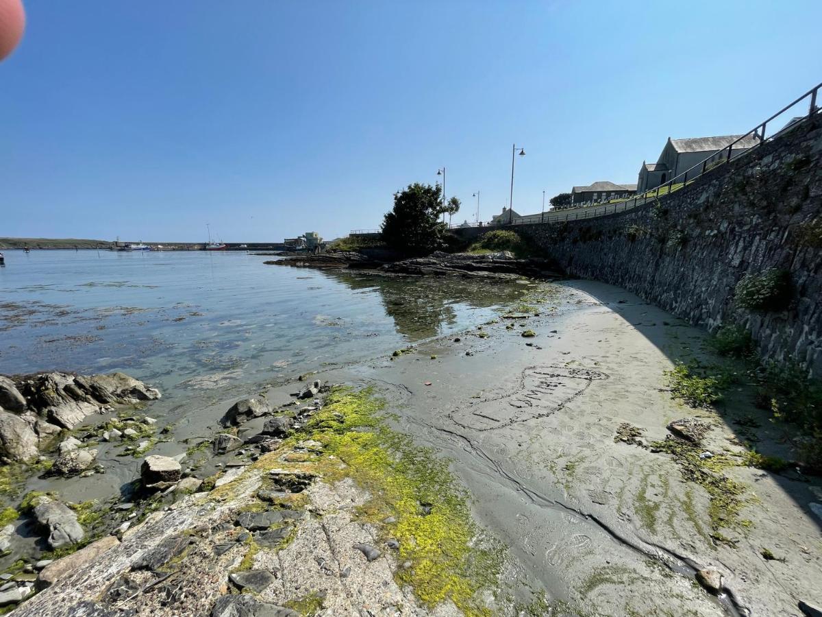 Lovely Apartment Overlooking The Harbour And Bay Ardglass Ngoại thất bức ảnh